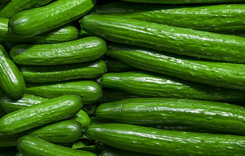 Cucumber seed