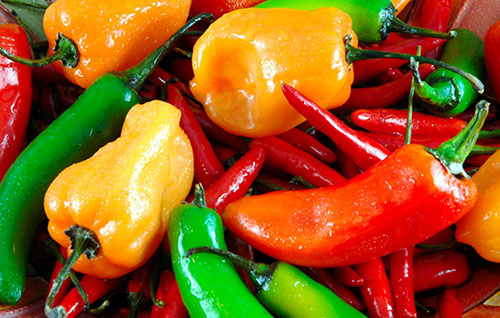 Pepper seed