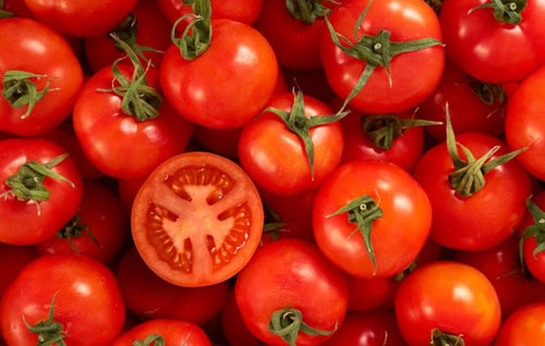 Tomato seed