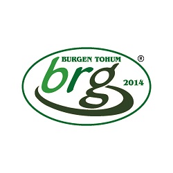 burgen logo website